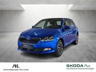 Skoda Fabia, 1.0 TSI Drive 125 Best of, Jahr 2020 - Osterode (Harz)