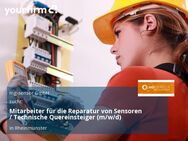 Mitarbeiter für die Reparatur von Sensoren / Technische Quereinsteiger (m/w/d) - Rheinmünster