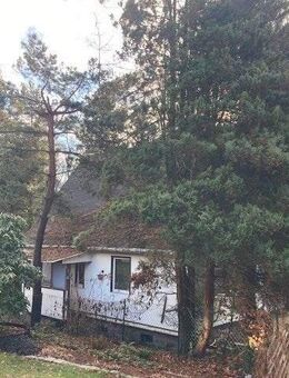 EFH am Waldesrand. - Lauter-Bernsbach