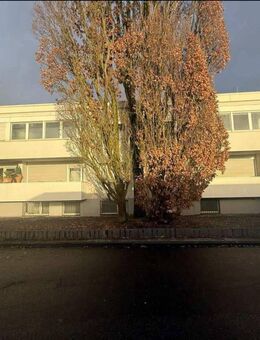 ihr neuer Bürozentrum mit Lagerfläche und 6 Wohnungen - Köln