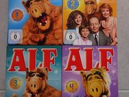 ALF - der Außerirdische - DVD`s zu verkaufen *neuwertig* - Walsrode