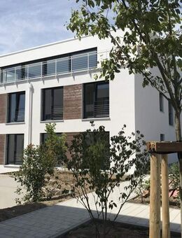 Großzügige 4-Zi-Wohnung mit Weitblick und sonnigem Balkon - WE 2.5 - Gailingen (Rhein)