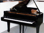 Flügel Klavier Yamaha C7, schwarz pol., 227 cm, Nr. 2283606 - Egestorf