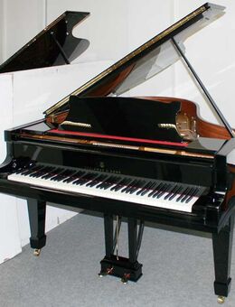 Flügel Steinway & Sons O-180 schwarz poliert, Baujahr 1924, 5 Jahre Garantie - Egestorf