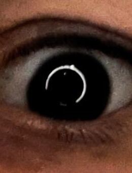 Schamanische Beratung/Beistand - Bayreuth