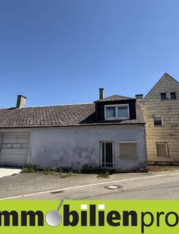 1358 - Bei Konradsreuth: Haus mit Lagerhalle und Werkstatt - Konradsreuth