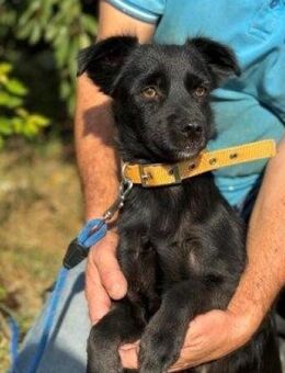 Liebevolle kleine - KATI ....... - Kempen