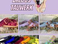 Grosse Rabattaktion bei BalousTauwerk.de - Frankenthal (Pfalz)