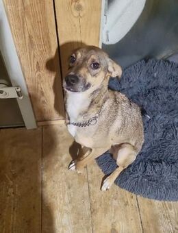 NERO = klug + lernfreudig 🆘‼️🆘 - München