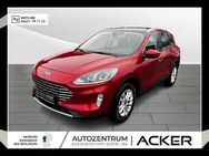 Ford Kuga, 1.5 EcoBlue Titanium PSD, Jahr 2020 - Bad Berleburg