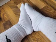 Weiße Tennissocken - Herne