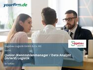 (Junior-)Kennzahlenmanager / Data Analyst (m/w/d) Logistik - Soltau