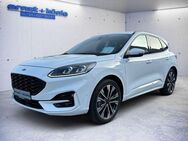 Ford Kuga ST-LINE X AHK ACC 20 Zol adap. LED Winterp. - Freiburg (Breisgau)