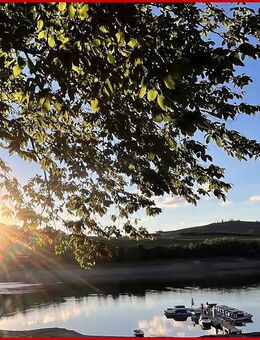 Ebenerdige ETW direkt am Diemelsee - Diemelsee