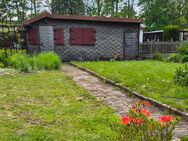 Klein Garten Pacht - Chemnitz