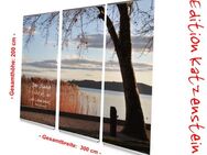 Bestattungsbedarf: L-Banner Display-Set "Abendstimmung am Plattensee" - 300 x 200 cm - hochwertige Dekoration für Bestattung, Trauerhalle, Bestatter - Wilhelmshaven Zentrum