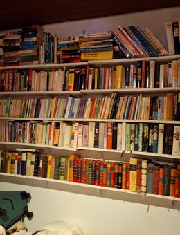 Büchersammlung - über 400 Bücher - Dülmen