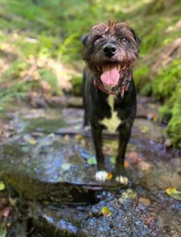 Anton 5 Jahre - Beltheim