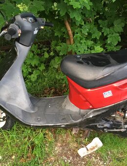 SYM Flash 50 - Krün