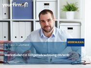 Werkstudent:in Entgeltabrechnung (m/w/d) - Steinhagen (Nordrhein-Westfalen)