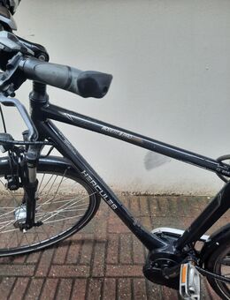 E Bike fast neu - Rendsburg