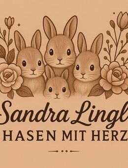 Zwergkaninchen Löwenköpfchen 🩷🩵 - Hahnbach