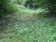 Waldgrundstück Nahe Krauchenwies - Wald (Baden-Württemberg)