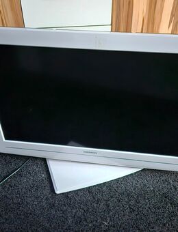 Medion Fernseher 31,5 Zoll - Potsdam