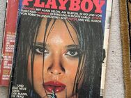 Playboy Sammlung ca 35 Jahre - Berlin