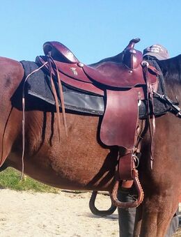 Continental saddlery - Ortenburg