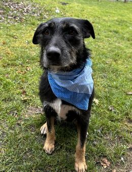 Juna träumt von Ihrem Weihnachtsmärchen - Fahrenzhausen