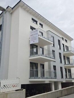 Moderne 4-Zimmer Wohnung in Neudenau zu Vermieten - Neudenau