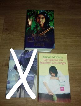Gita Mehta-Die Maharani HC , und Sinead Moriarty-Wenigstens ein bisschen schwanger TB - Euskirchen