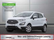 Ford EcoSport 1.0 Cool&Connect // LED/Klima/SHZ - Thannhausen