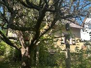 freistehendes Einfamilienhaus in Südlage mit herrlichem Fernblick - Zwickau