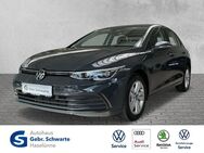 VW Golf, 1.5 TSI VIII Life, Jahr 2023 - Haselünne