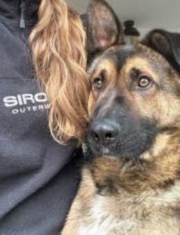 Marley sucht ein aktives Zuhause - München