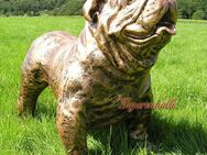 Englische Bulldogge Figur Statue Skulptur Gartenfigur Deko - Enger (Widukindstadt)