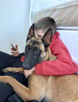 💕Maliha💕sucht ihre Menschen - Freilassing