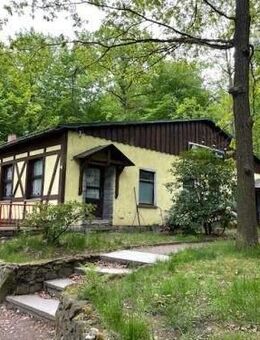 Traumgrundstück in Traumlage mit ehemaligem Gasthaus zu verkaufen! - Neukirch (Lausitz)