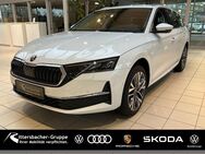 Skoda Octavia, 2.0 TDI Combi TOUR VERFÜGBAR, Jahr 2022 - Saarbrücken