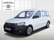 VW Caddy, 2.0 TDI Maxi, Jahr 2021 - Aschersleben