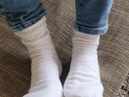 Weisse Socken an Sammler - Bonn