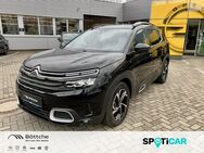 Citroën C5, Aircross Hybrid, Jahr 2022 - Wittenberg (Lutherstadt) Wittenberg