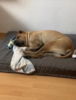 Endstelle gesucht - Gevelsberg