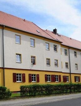 Wunderschöne 2-Raumwohnung mit großer Terrasse sucht Nachmieter! - Dresden