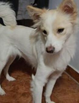 Bonnie möchte Einzelprinzessin sein - München