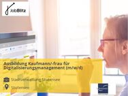 Ausbildung Kaufmann/-frau für Digitalisierungsmanagement (m/w/d) - Stutensee