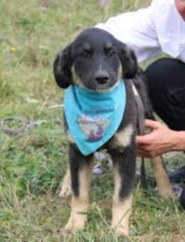 Möchtest du mit Lyo zusammen glücklich s - München