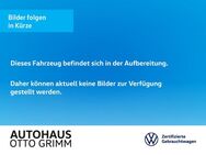 VW Polo, 1.0 TSI Comfortline, Jahr 2020 - Bitterfeld-Wolfen